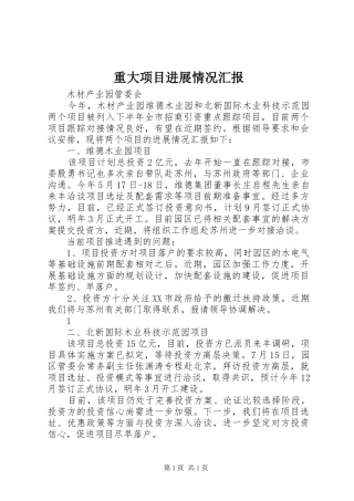 重大项目进展情况汇报