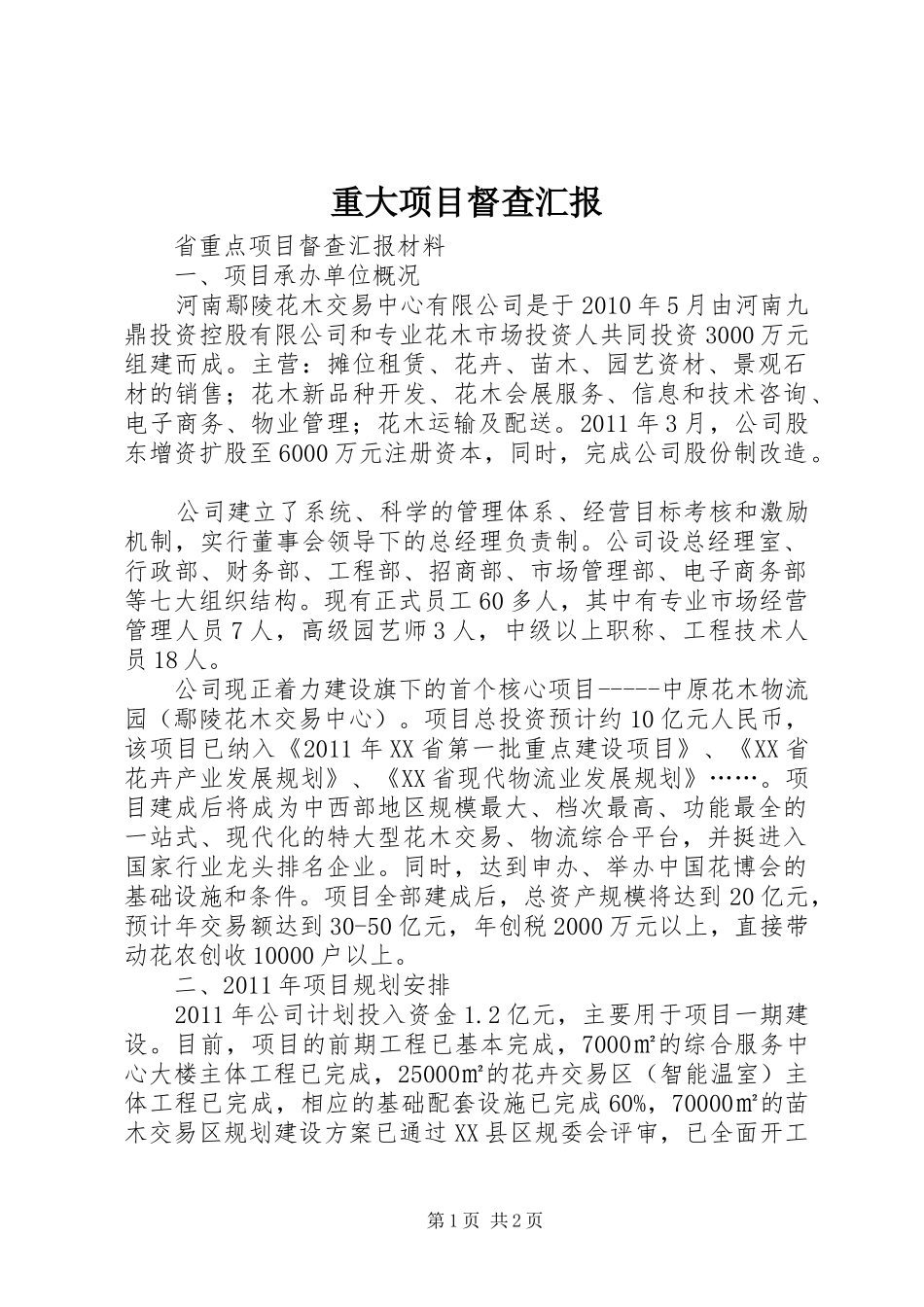 重大项目督查汇报_第1页