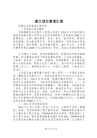 重大项目督查汇报