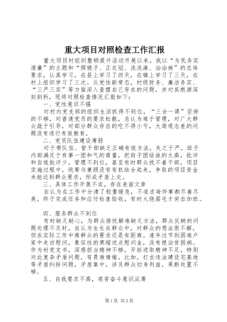 重大项目对照检查工作汇报
