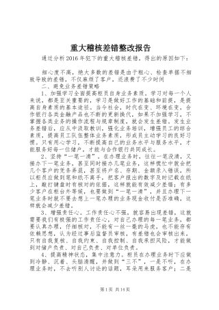 重大稽核差错整改报告