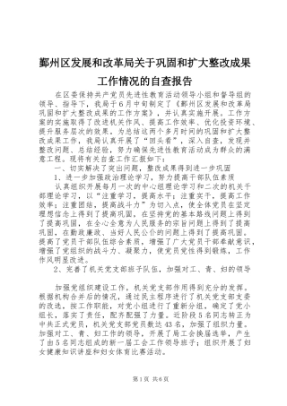鄞州区发展和改革局关于巩固和扩大整改成果工作情况的自查报告