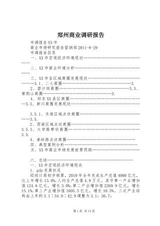 郑州商业调研报告