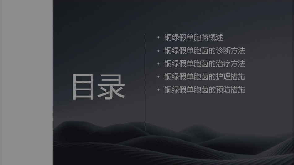 铜绿假单胞菌诊治方法2护理课件_第2页