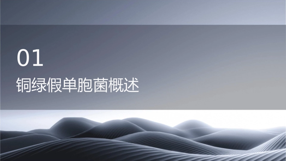 铜绿假单胞菌诊治方法2护理课件_第3页