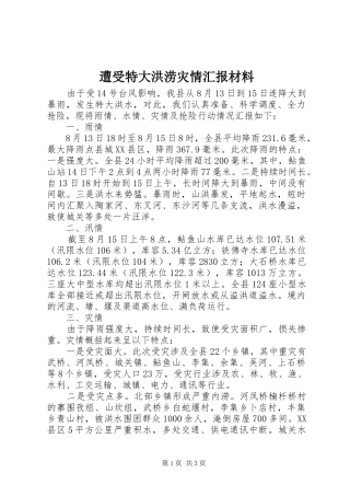 遭受特大洪涝灾情汇报材料