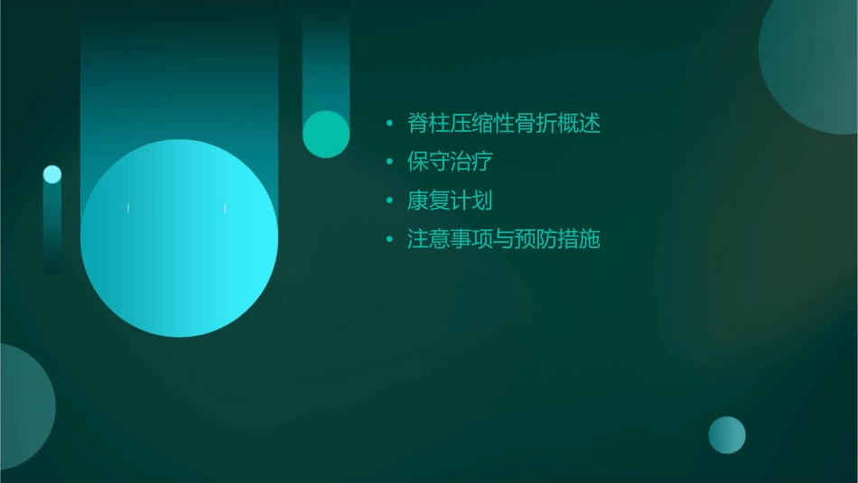 脊柱压缩性骨折的保守治疗与康复计划_第2页