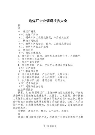 选煤厂企业调研报告大全