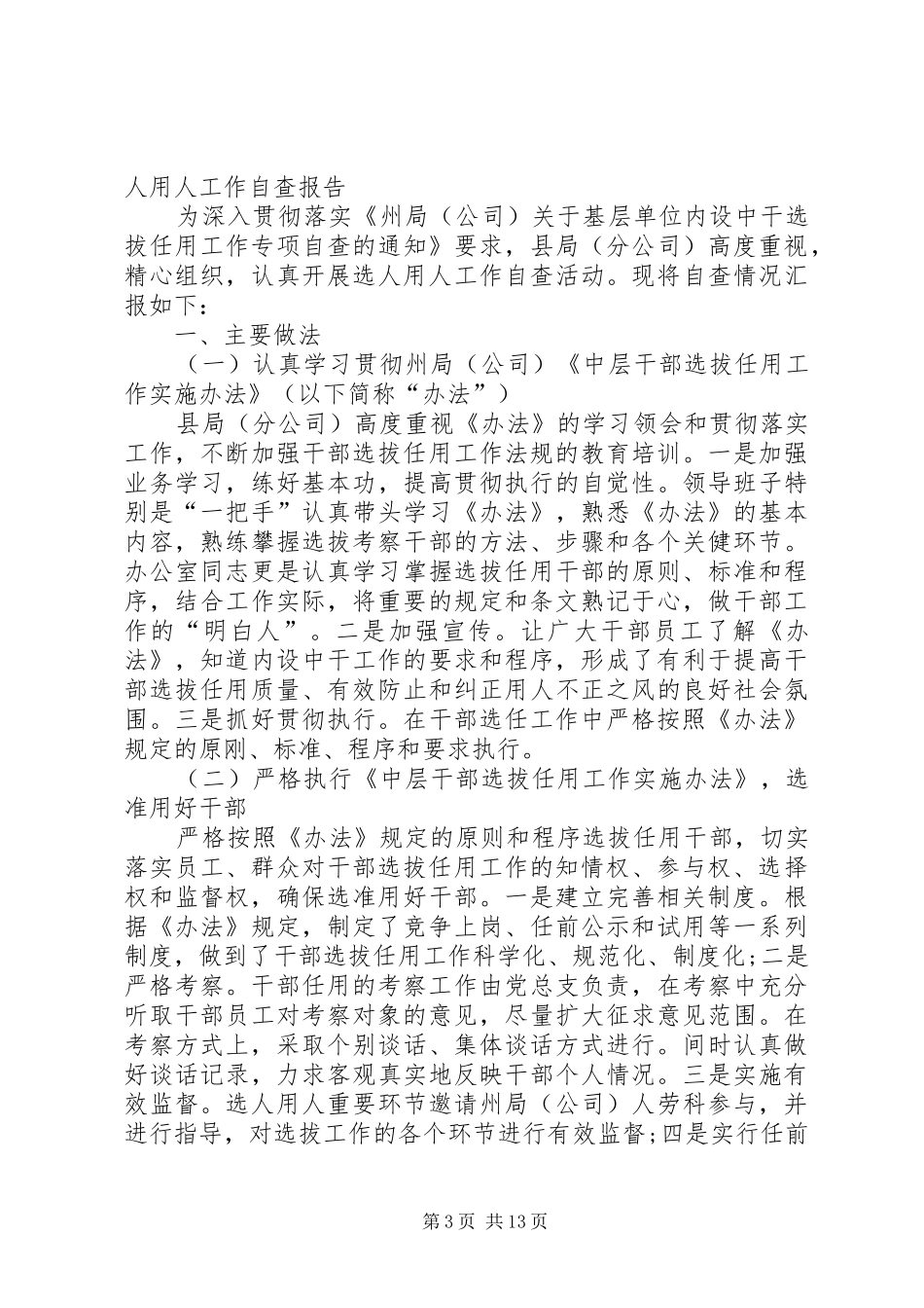 选人用人自查报告_第3页