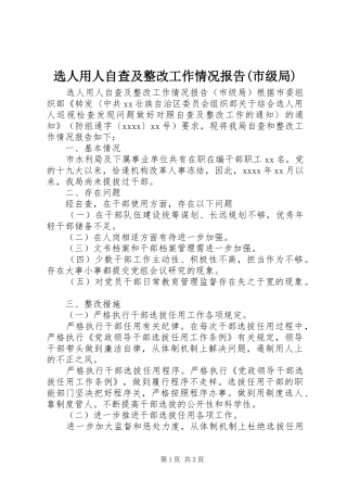 选人用人自查及整改工作情况报告(市级局)