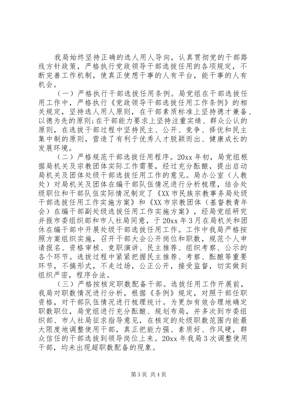 选人用人专项整治自查工作报告_第3页