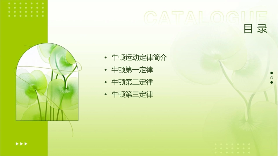 牛顿运动定律通用课件_第2页