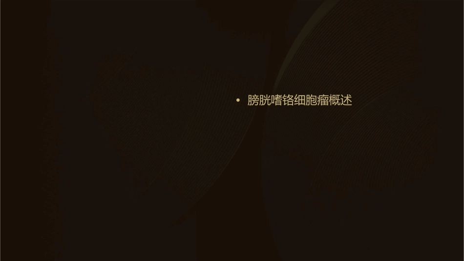 膀胱嗜铬细胞瘤护理课件_第2页