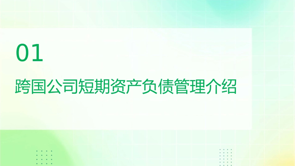 跨国公司短期资产负债管理概述课件_第3页