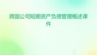 跨国公司短期资产负债管理概述课件
