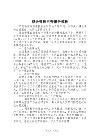 资金管理自查报告模板