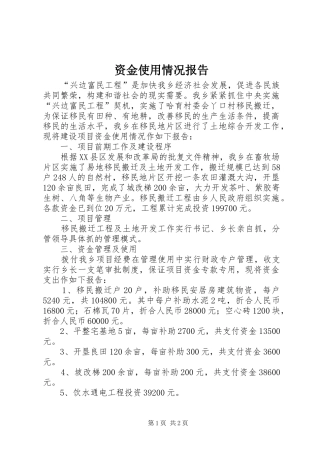 资金使用情况报告