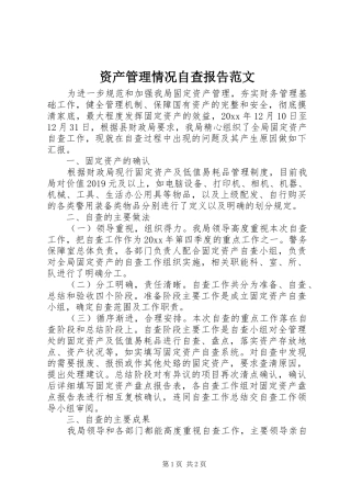 资产管理情况自查报告范文