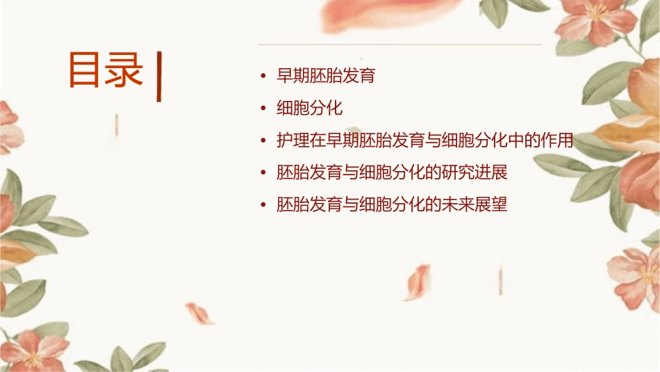 早期胚胎发育与细胞分化护理课件_第2页