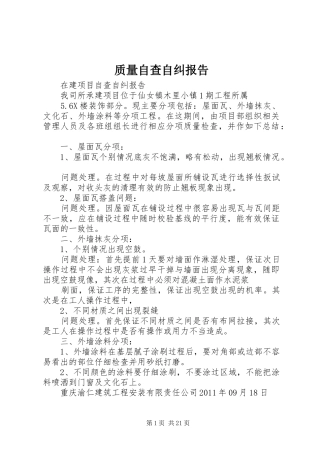 质量自查自纠报告