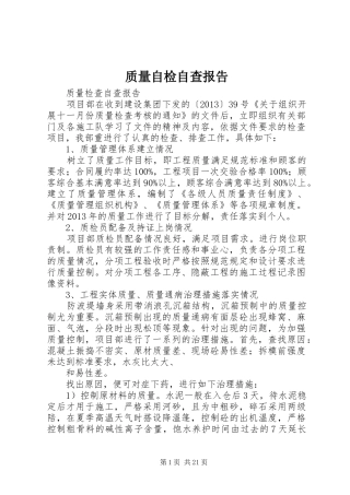 质量自检自查报告