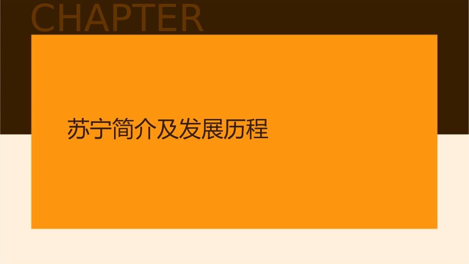 苏宁发展模式分析课件_第3页