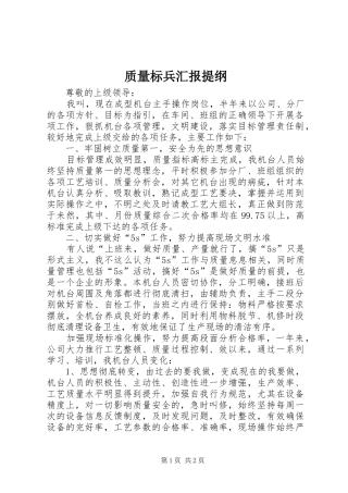 质量标兵汇报提纲