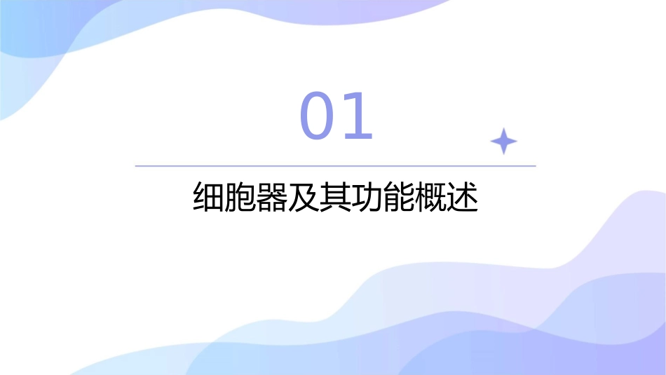 必修分子与细胞细胞器──系统内的分工合作课件_第3页