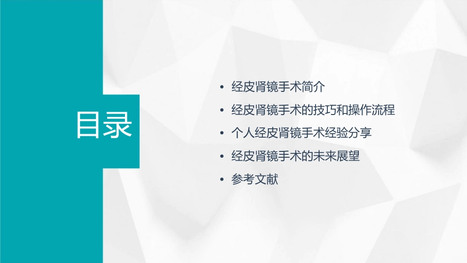经皮肾镜手术技巧的个人体会课件_第2页