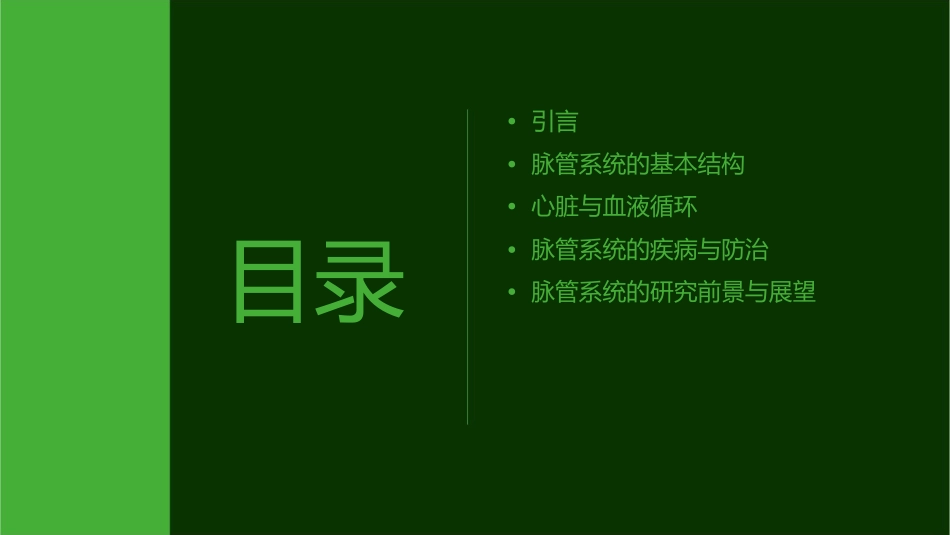 解剖学脉管系统课件_第2页