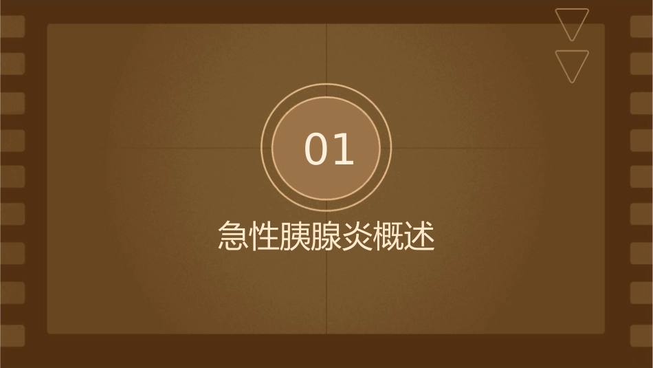 消化系统疾病急性胰腺炎护理课件_第3页