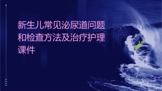 新生儿常见泌尿道问题和检查方法及治疗护理课件
