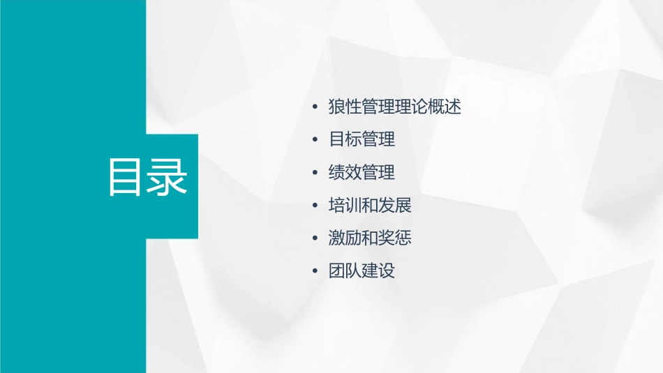狼性管理模式四教育训练管理课件_第2页