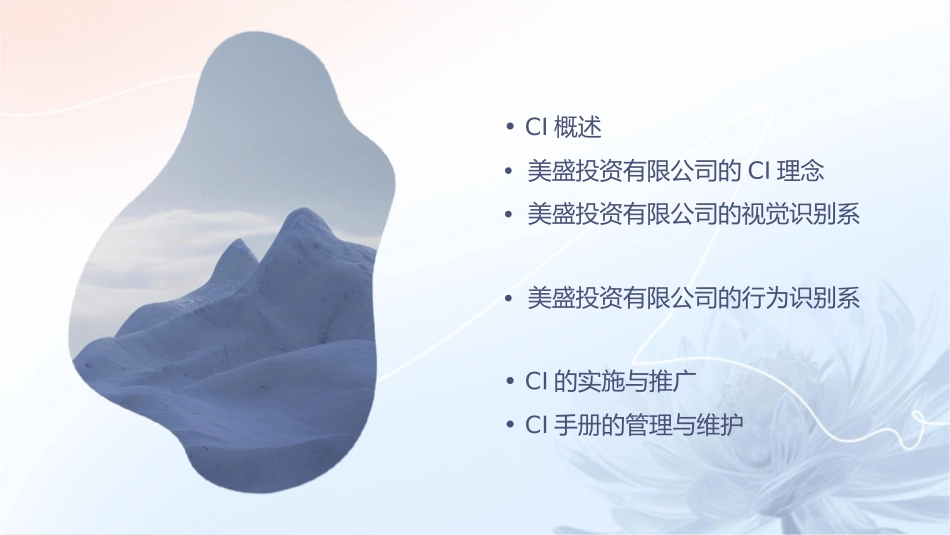 美盛投资有限公司CI导入手册课件_第2页