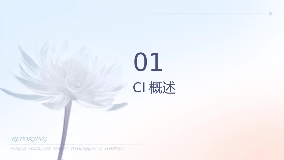 美盛投资有限公司CI导入手册课件_第3页