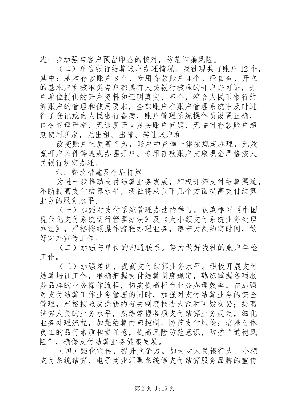 账户清理自查报告_第2页