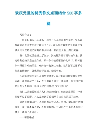 欢庆元旦的优秀作文点面结合500字多篇