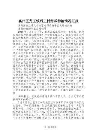 襄州区龙王镇后王村甜瓜种植情况汇报