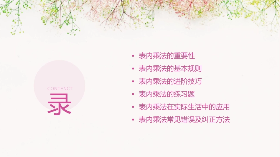 表内乘法(二)通用课件_第2页