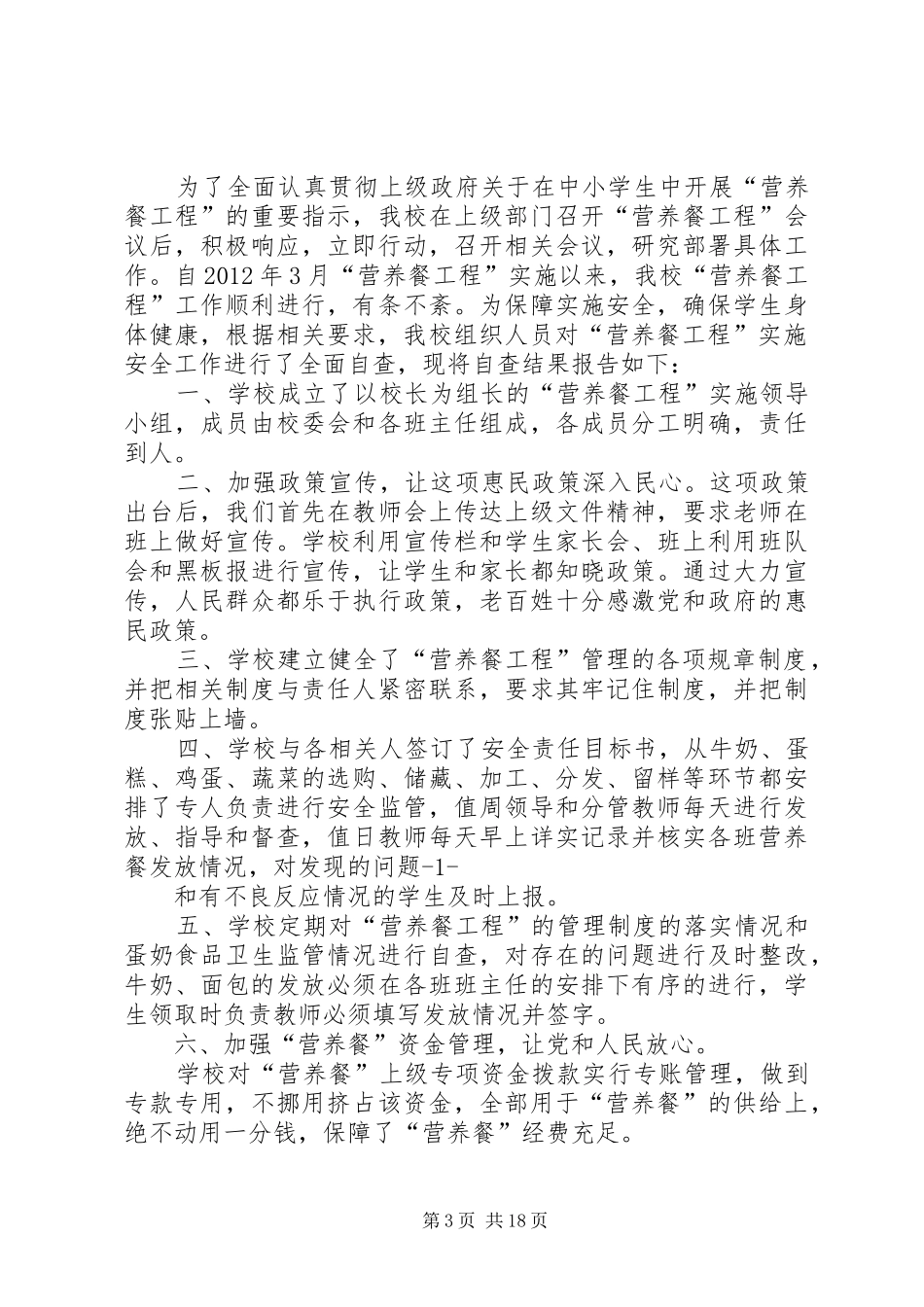 营养餐自查报告_第3页