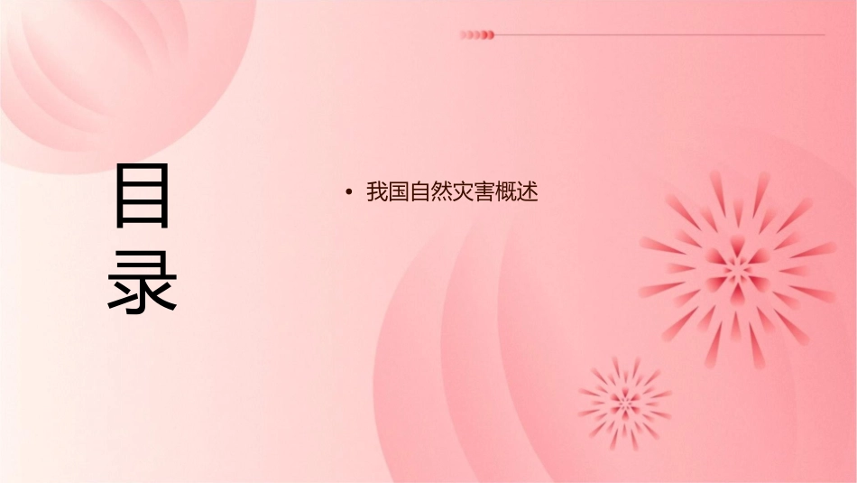 考查我国的自然灾害课件_第2页