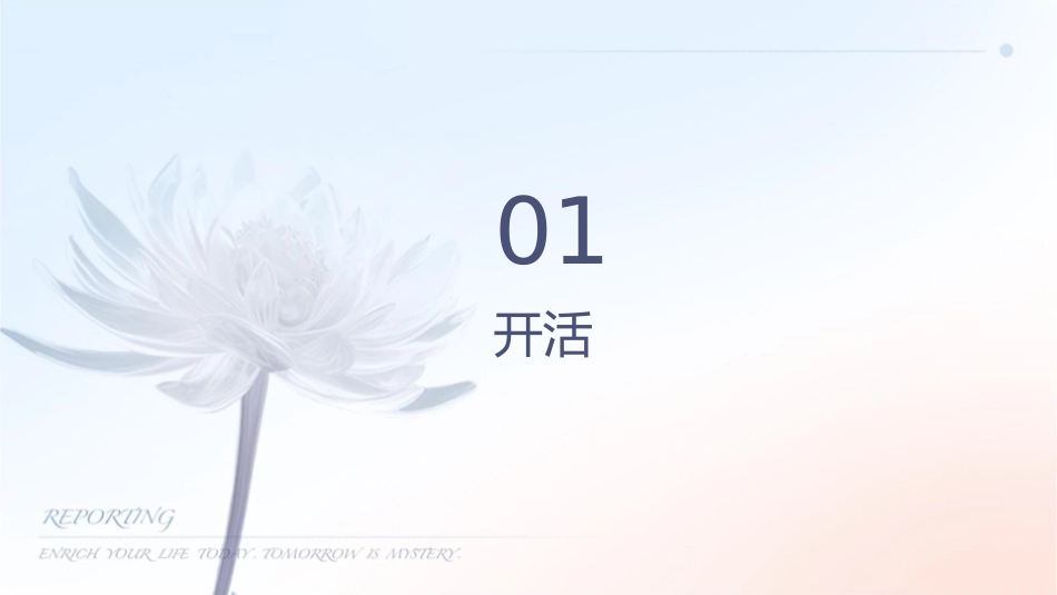 门店开业活动方案课件_第3页