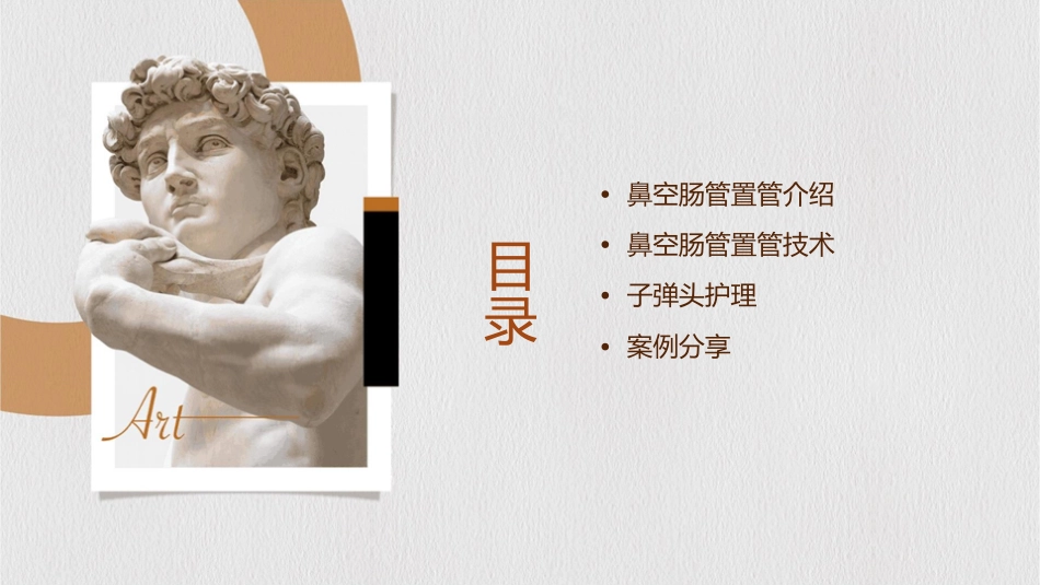 重症技术鼻空肠管置管子弹头护理课件_第2页