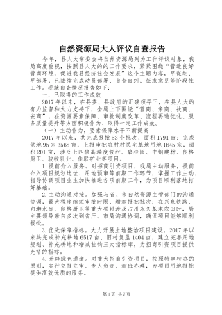 自然资源局大人评议自查报告