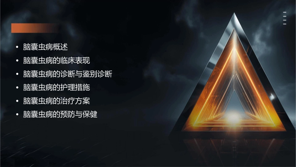 脑囊虫病讲课护理课件_第2页