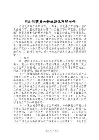 自治县政务公开规范化发展报告