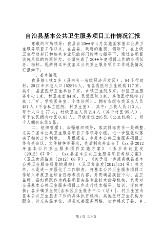 自治县基本公共卫生服务项目工作情况汇报