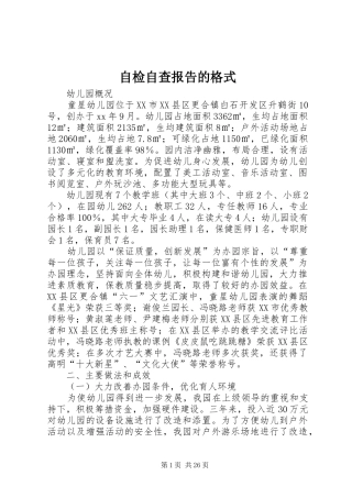 自检自查报告的格式