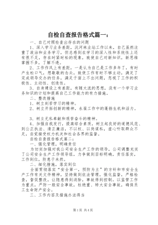 自检自查报告格式篇一：