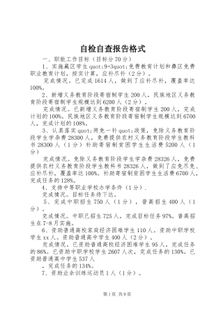 自检自查报告格式